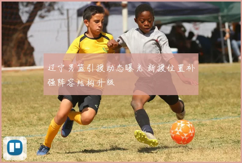 辽宁男篮引援动态曝光 新援位置补强阵容结构升级