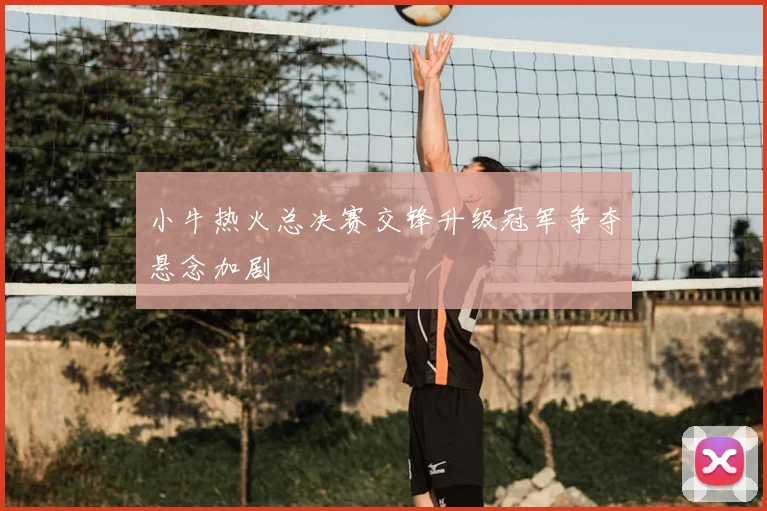 小牛热火总决赛交锋升级冠军争夺悬念加剧