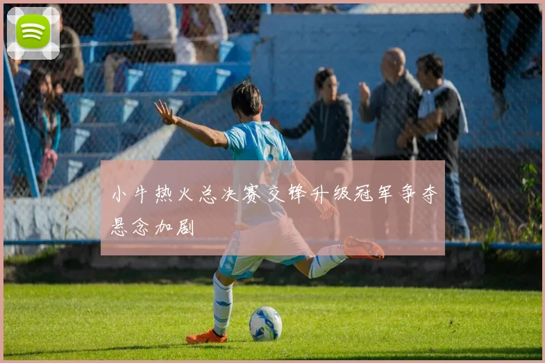 小牛热火总决赛交锋升级冠军争夺悬念加剧